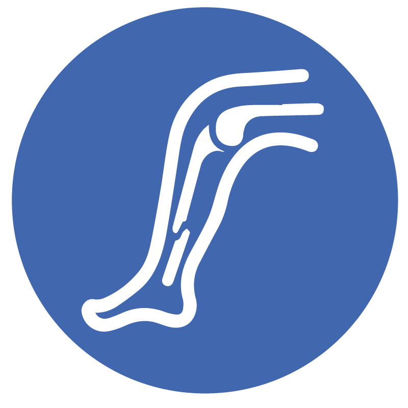 Traumatolog�a y Ortopedia